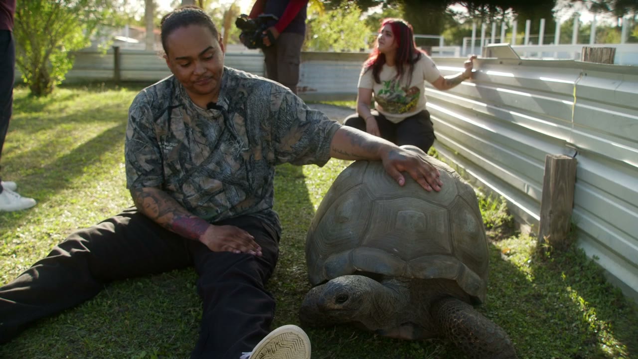 Animals kept and bred by the Citadel Culebra community